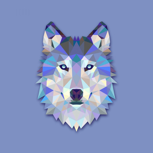 3S. x Home - Tableau Animal Design Blue Wolf 50x50 - Promo Meuble Et Déco Design